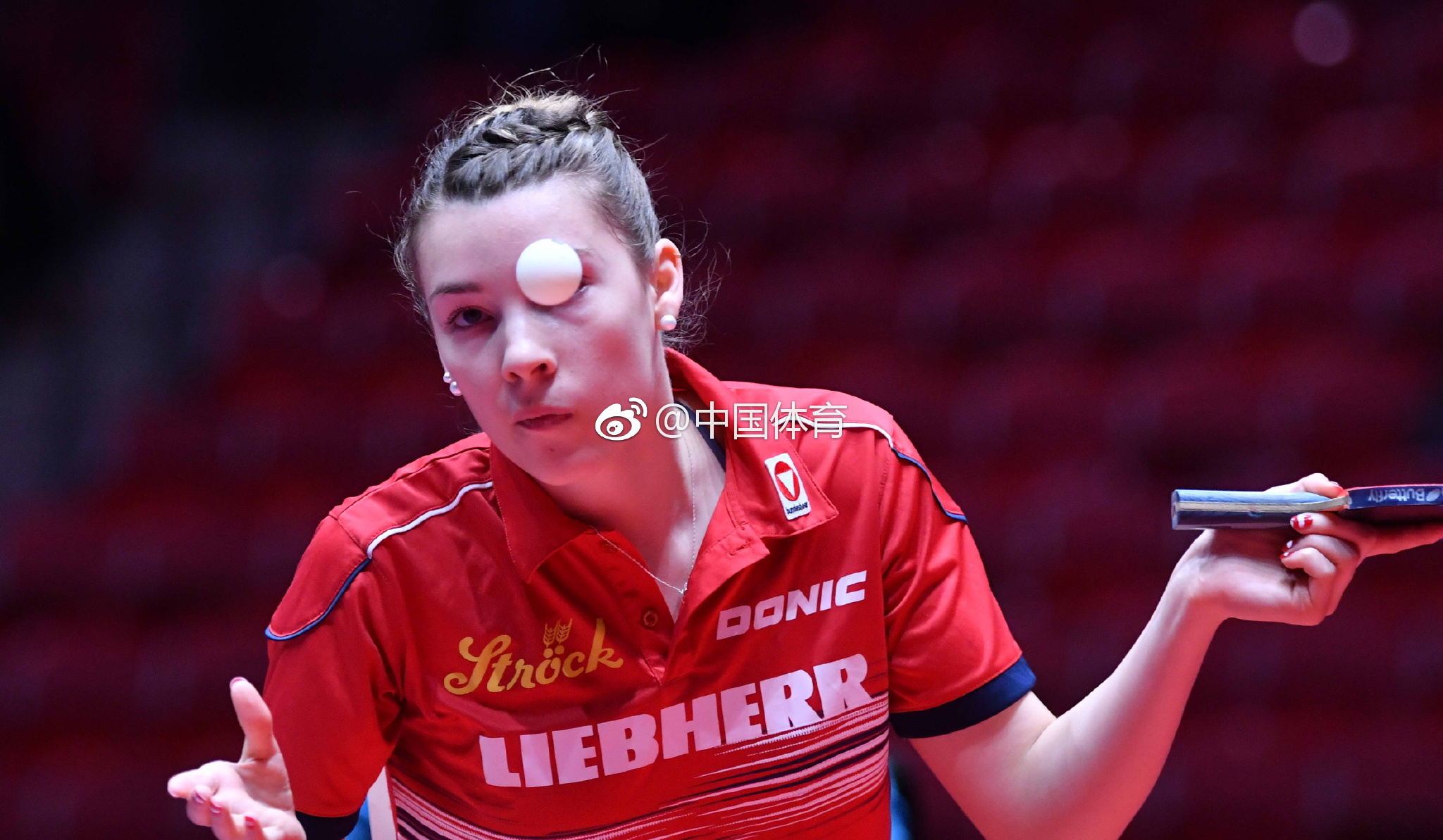 包含瑞典队力克奥地利队，梁靖崑高光表现的词条